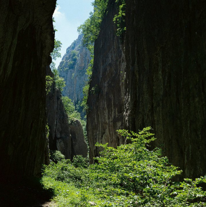 Gole di Aielli Celano, Parco Naturale regionale Sirente Velino, Facebook